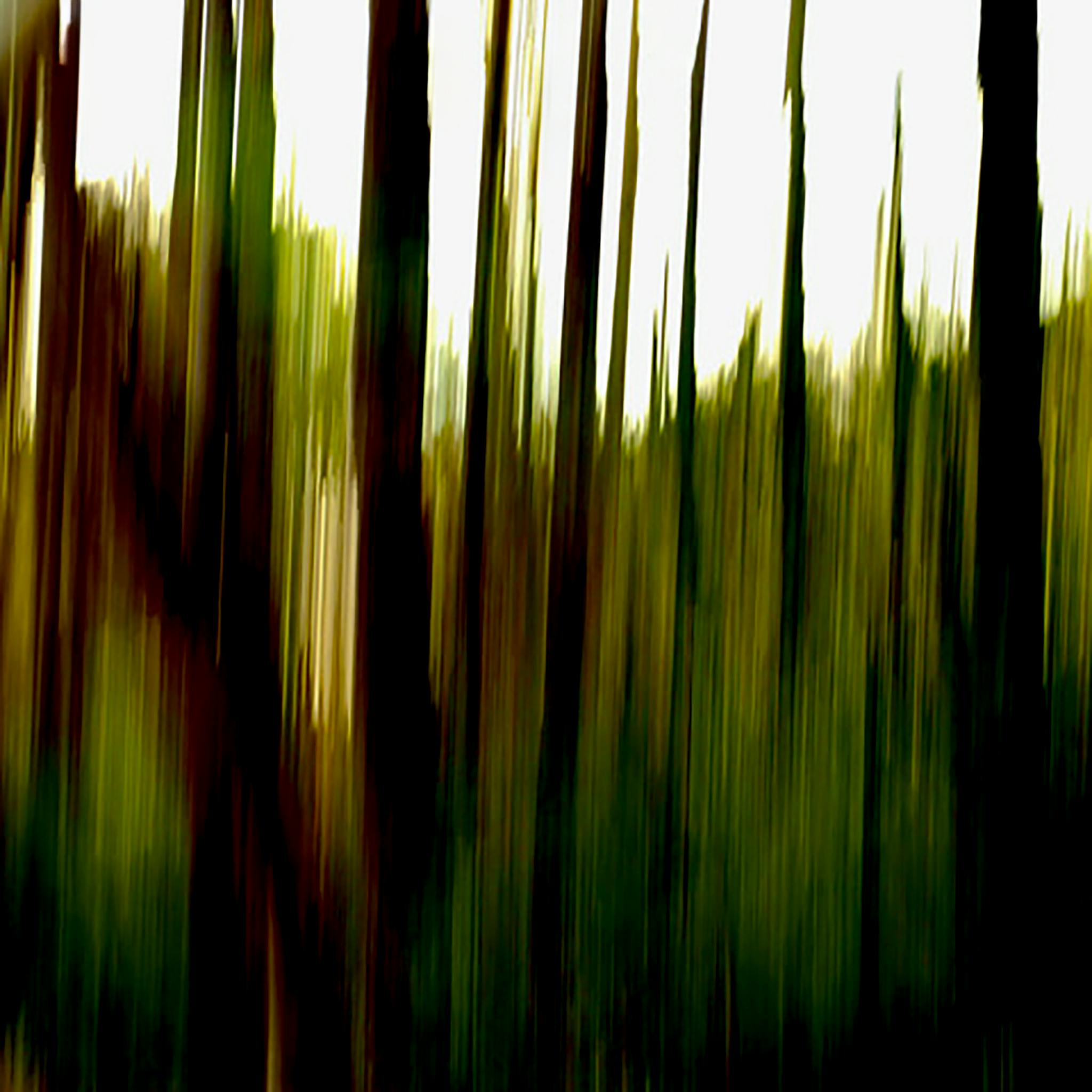 image for site