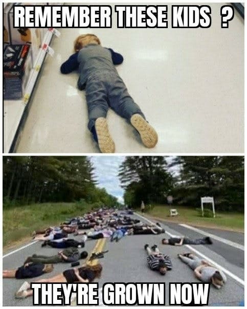 Remember These Kids? They're Grown NowSplit Screen, 1) Toddler Laying Face Down on Store Floor, 2) Protestors Laying on Road MEME
