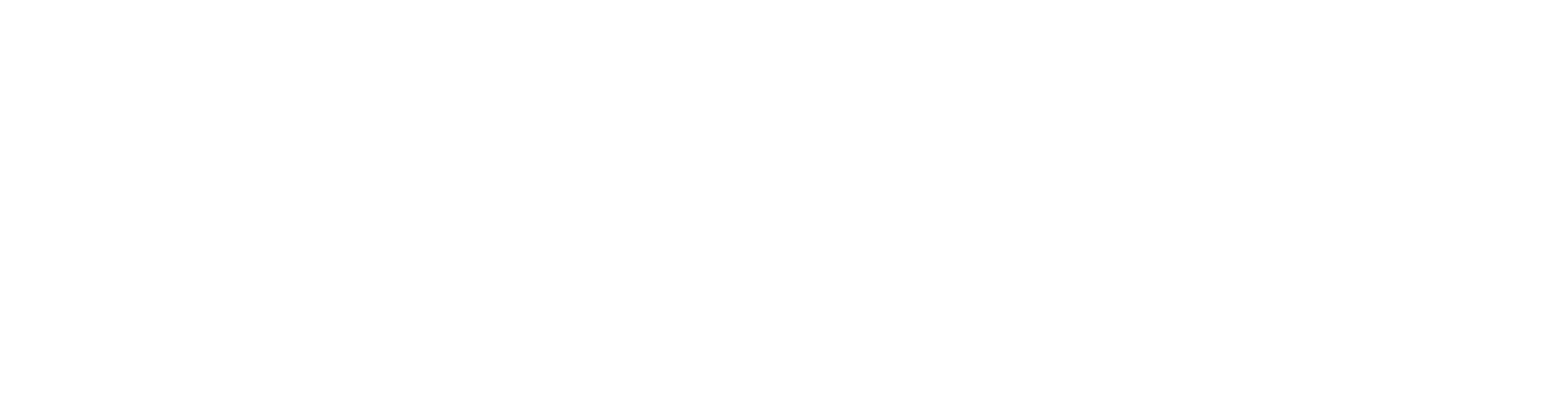 Zoidii logo