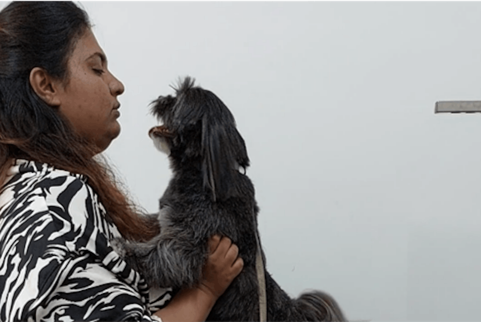 Right grooming tools for your dog & how to use them