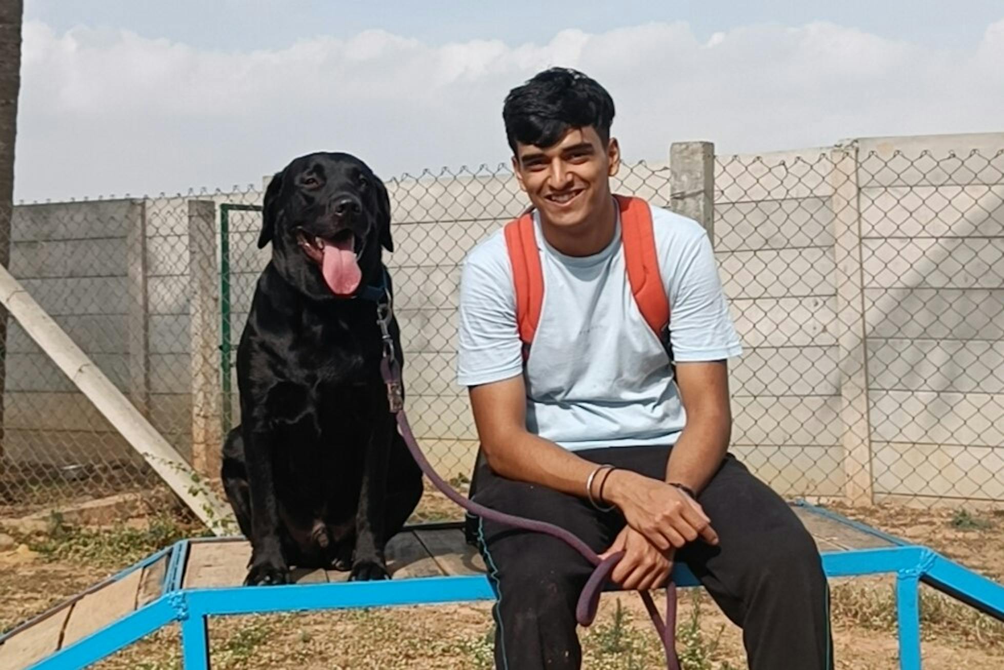 Understand why your dog pulls