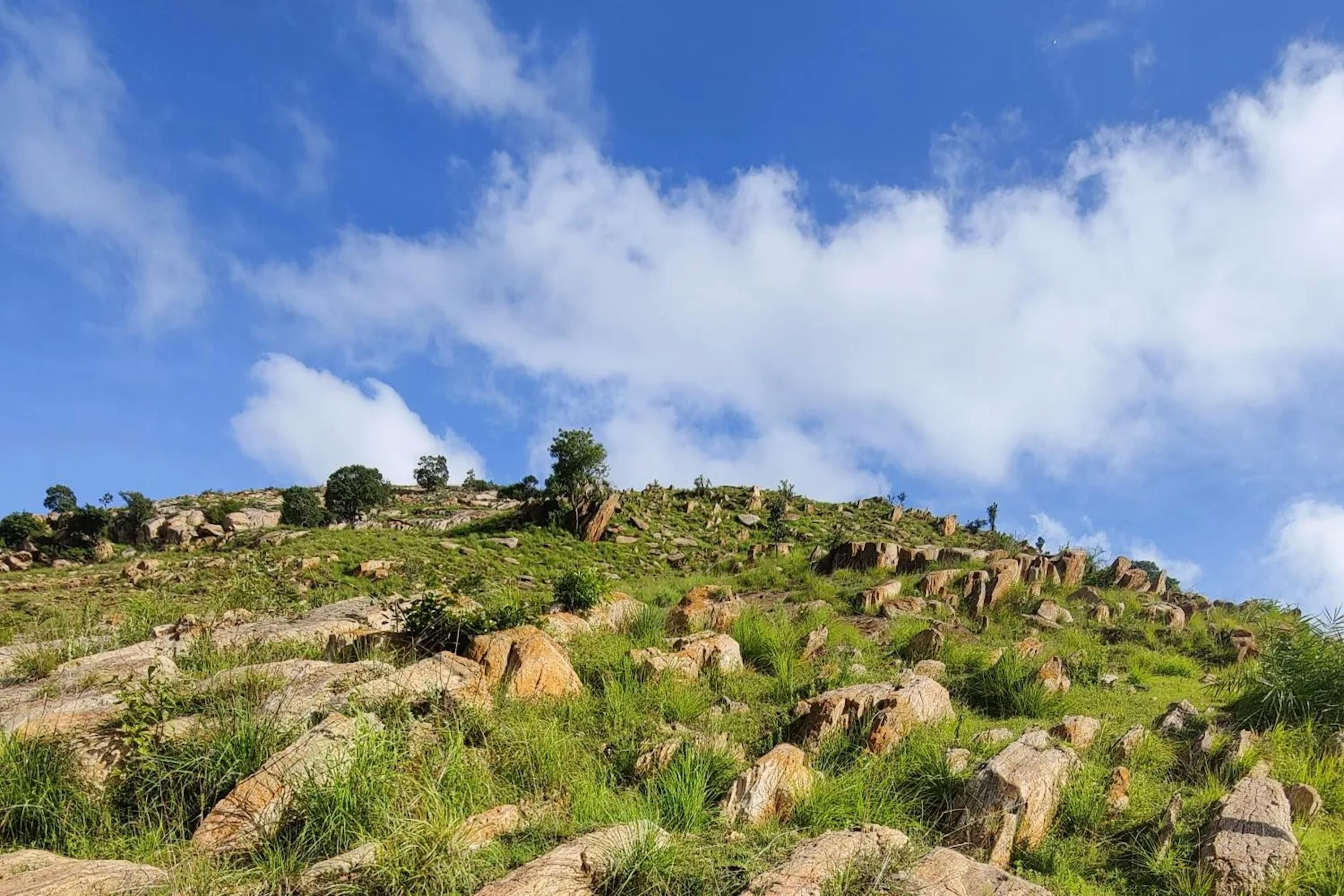 Uphill trek