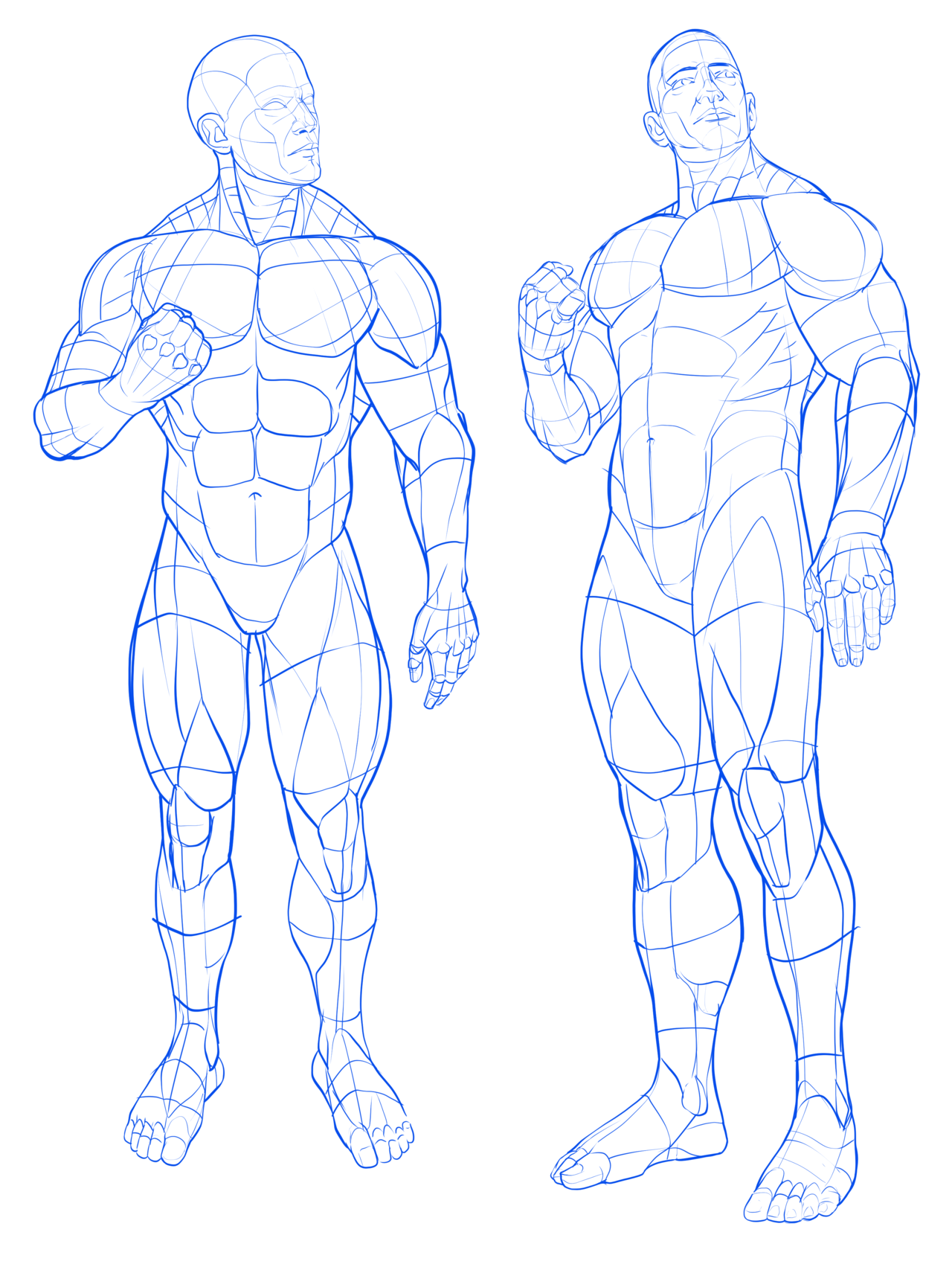 Beautiful Naked Woman Poses. Female Body. 3d Wireframe Vector. Royalty Free  SVG, Cliparts, Vectors, and Stock Illustration. Image 112008257.