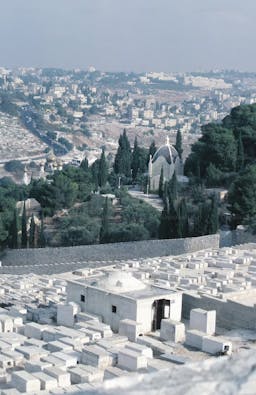 Impuestos locales sobre la renta