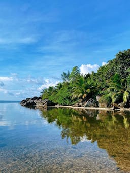 Impuesto sobre la renta personal