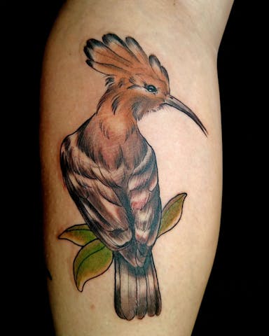 TattooGigs tattoo from Caroline  V tattoo artist (Neo-traditional style)