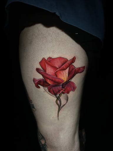 TattooGigs tattoo from Natalia C tattoo artist ( style)