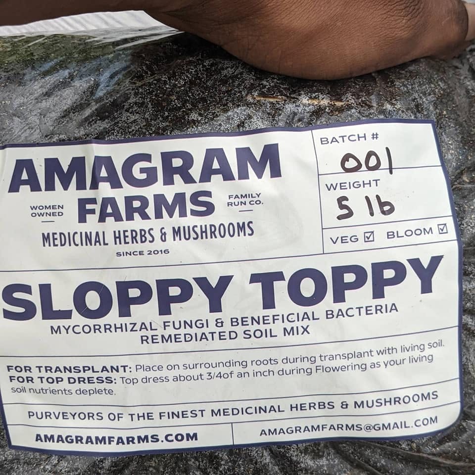 Sloppy Toppy - BudsFeed