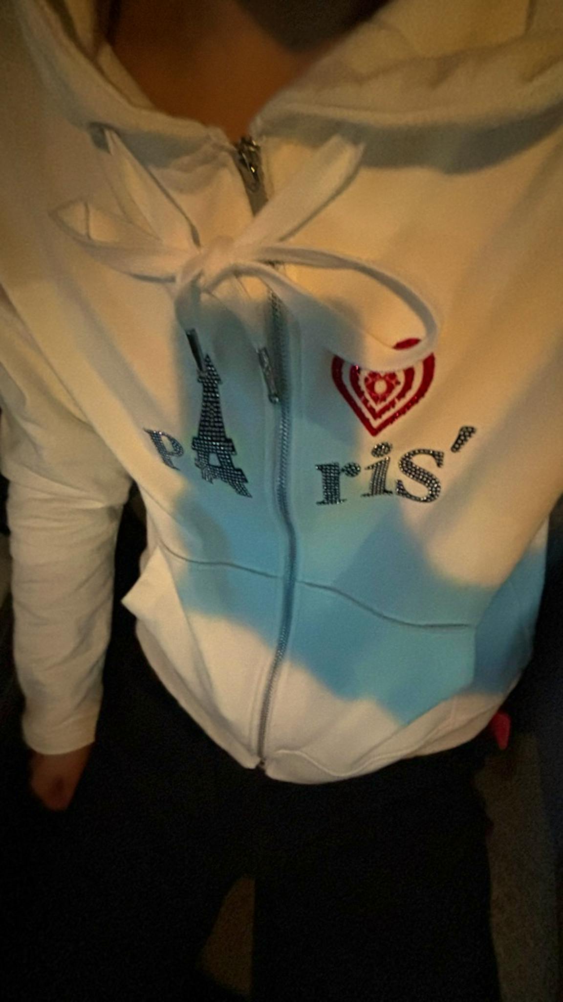 dinoworks Paris hoodie ディノワークス パーカー - ARCHIVESTOCK
