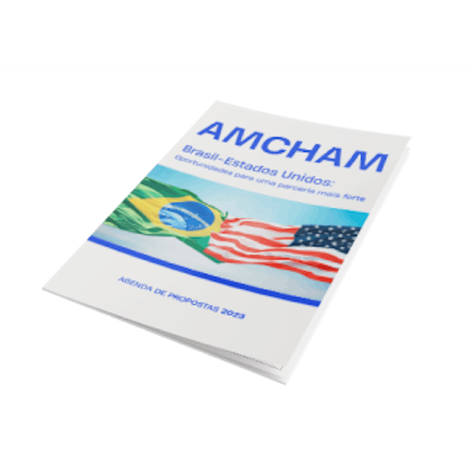 Brasil-EUA ─ Amcham Brasil
