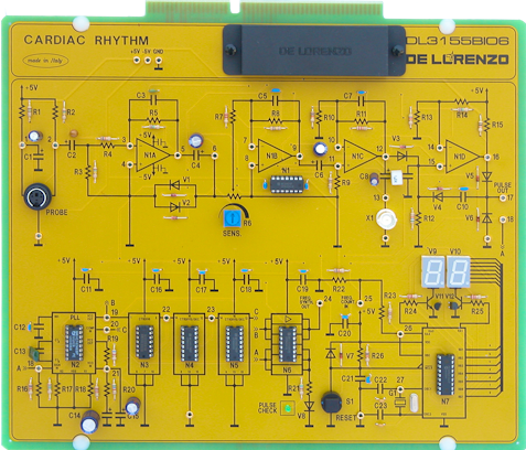 CARDIAC RITHM training systems