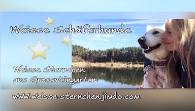 Weißer Schweizer Schäferhund von Petra 