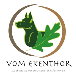 Deutscher Schäferhund von Timo