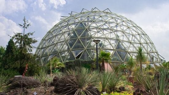 Botanischer Garten Der Universitat Ausflugstipp Fur Kinder In Dusseldorf