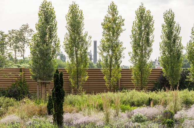 Botanischer Garten Duisburg Hamborn Ausflugstipp Fur Kinder In Duisburg