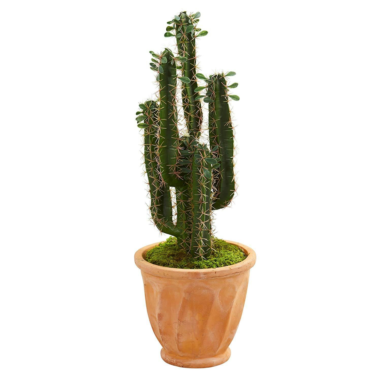 artificial, plant, planter, cactus artificial, plant, planter, cactus