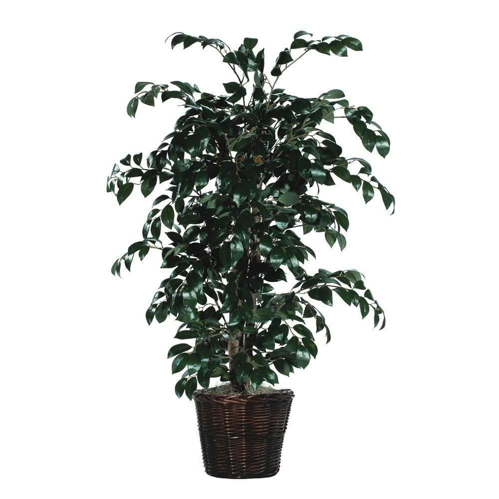 artificial, plant, planter, sakaki artificial, plant, planter, sakaki