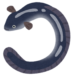 魚の ヌメヌメ って何 どうしてヌルヌルしているの Uonted ウオンテッド 魚の ヌメヌメ って何 どうしてヌルヌルしているの Uonted ウオンテッド