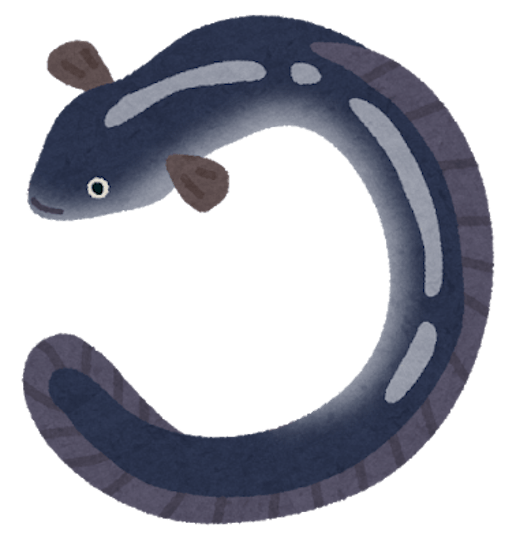 魚の ヌメヌメ って何 どうしてヌルヌルしているの Uonted ウオンテッド 魚の ヌメヌメ って何 どうしてヌルヌルしているの Uonted ウオンテッド