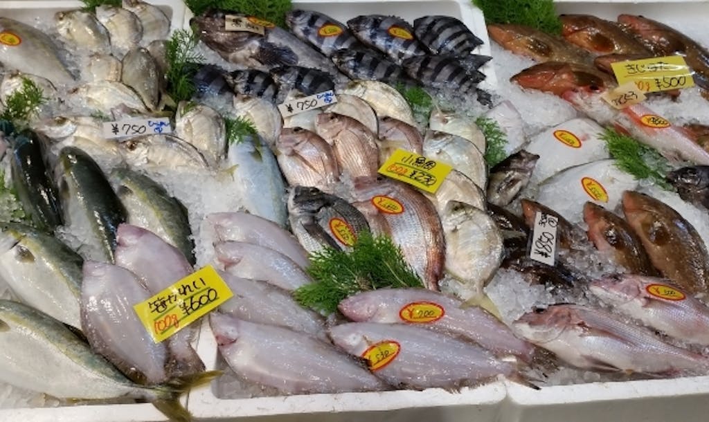 鮮魚 と 生鮮魚 活魚 の違いは何 Uonted ウオンテッド 鮮魚 と 生鮮魚 活魚 の違いは何 Uonted ウオンテッド