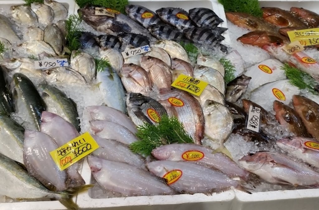 鮮魚 と 生鮮魚 活魚 の違いは何 Uonted ウオンテッド 鮮魚 と 生鮮魚 活魚 の違いは何 Uonted ウオンテッド