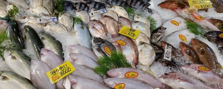 鮮魚 と 生鮮魚 活魚 の違いは何 Uonted ウオンテッド 鮮魚 と 生鮮魚 活魚 の違いは何 Uonted ウオンテッド