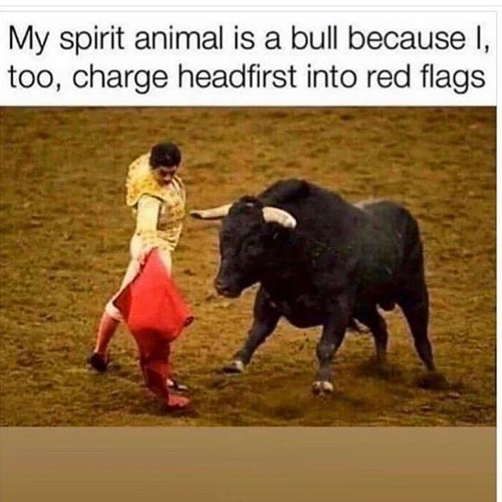 Anonameme My Spirit Animal Is A Bull Because I Too Charge Headfirst Into Red Flags