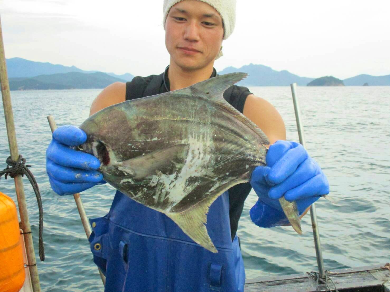 マナガツオ 神経抜き 流水血抜き 魚の直売所 Uonted ウオンテッド マナガツオ 神経抜き 流水血抜き 魚の直売所 Uonted ウオンテッド