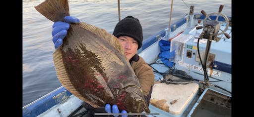 ヒラメ 神経抜き 流水血抜き 魚の直売所 Uonted ウオンテッド ヒラメ 神経抜き 流水血抜き 魚の直売所 Uonted ウオンテッド