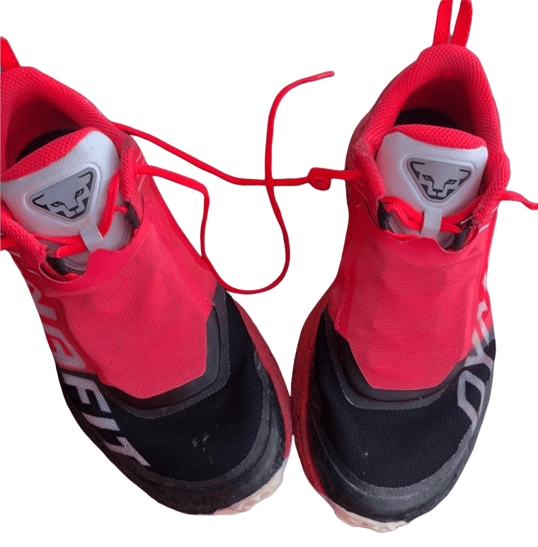 chaussure trail dynafit