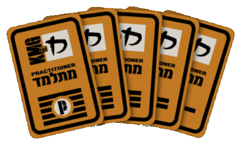 krav maga grading system