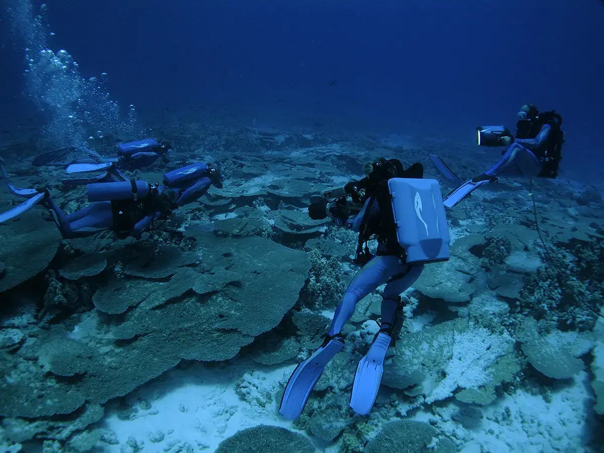 Jean-Michel Cousteau: Beauty & horror in marine sanctuary | Dive Pacific
