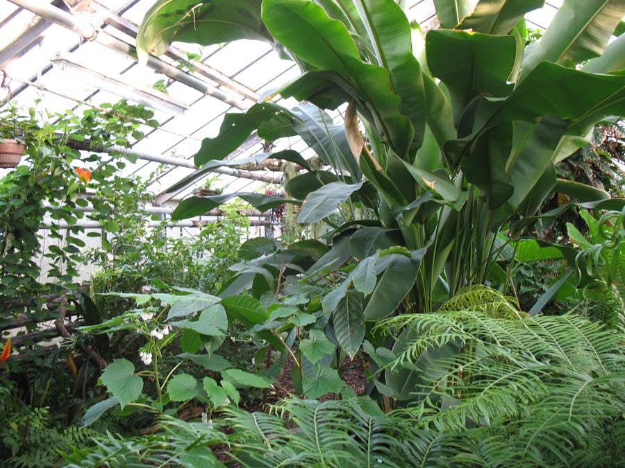 Botanischer Garten Mainz Ausflugstipp für Kinder in Mainz