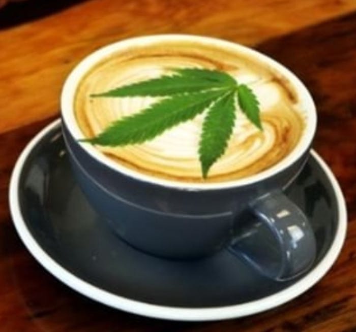 catapult infused coffee catapult infused coffee