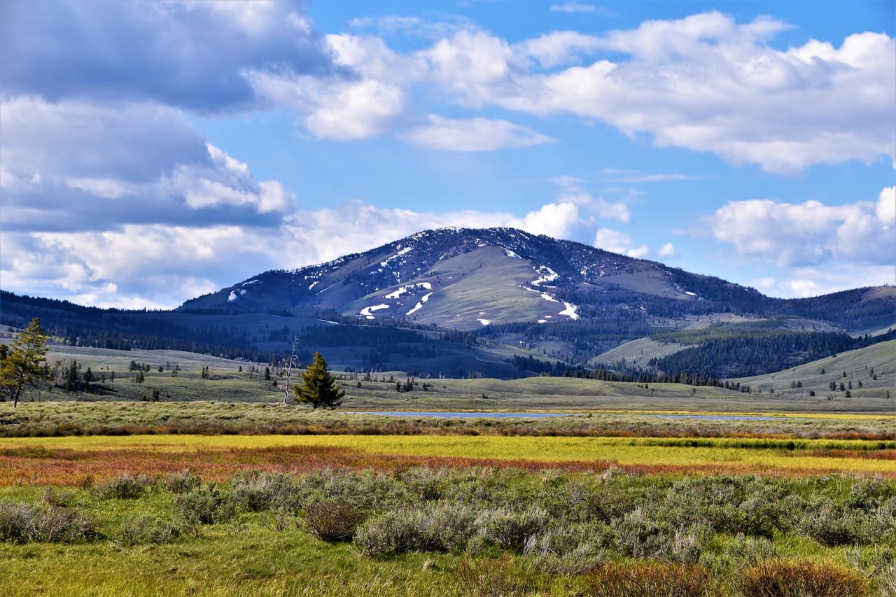 Montana land for sale now. Find land for sale in MT with us.