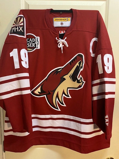 ThingsIBuyForYou Brett Hull Vintage Phoenix Coyotes CCM Hockey Jersey (L)