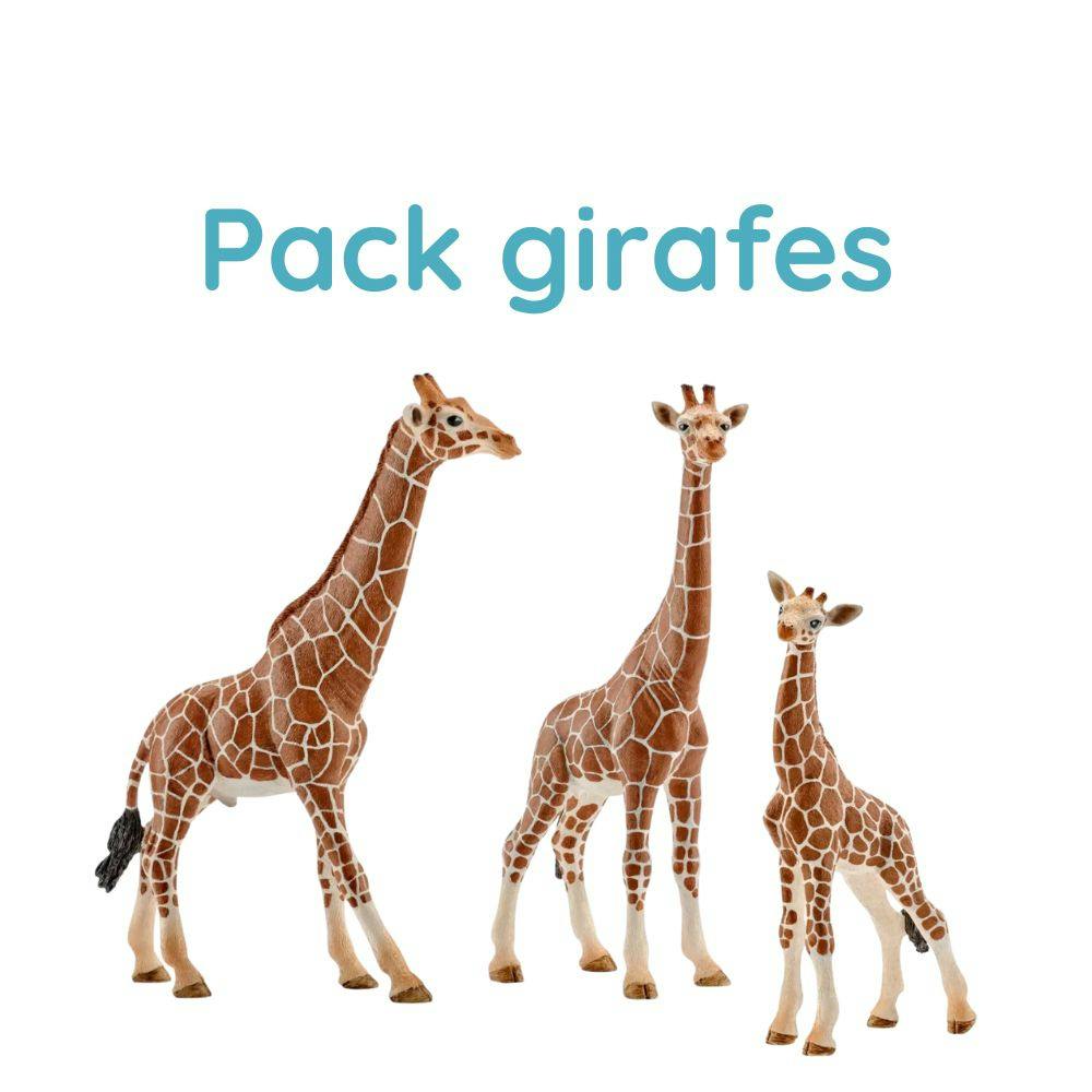 Lot De Figurines Schleich Occasion - Girafe Et Kangourou