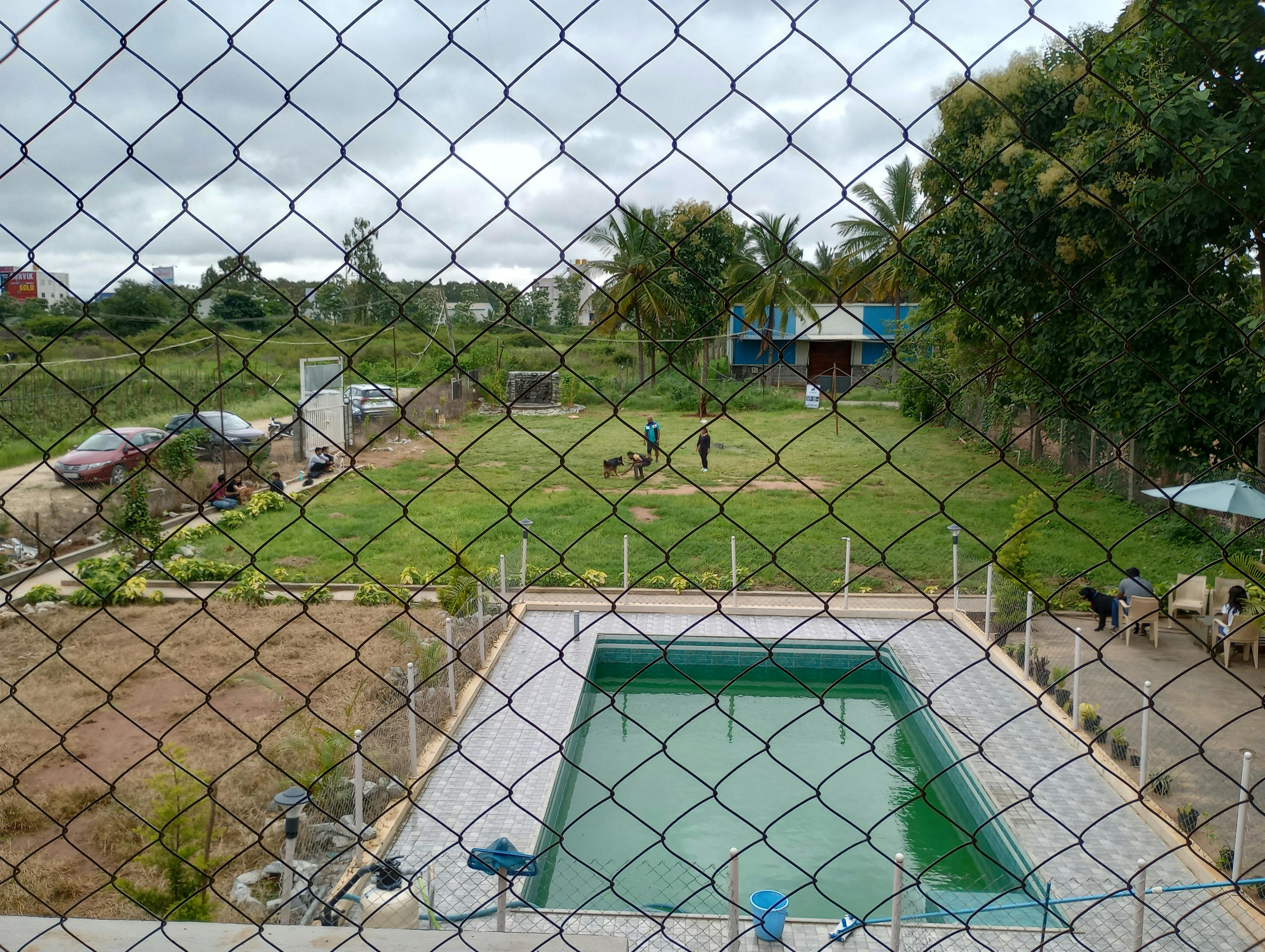 thePack.in Reviews Klever K9, Sarjapur Dog Boarding in Bangalore