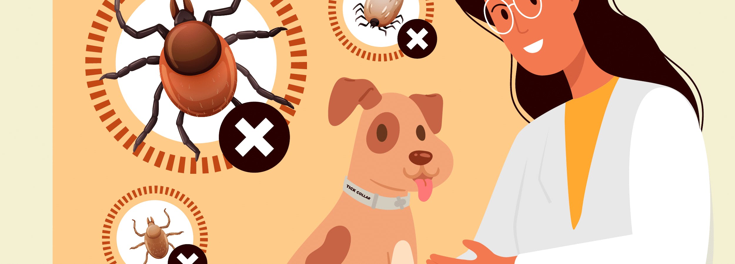 How to Prevent & Get Rid of Fleas and Ticks on Dogs