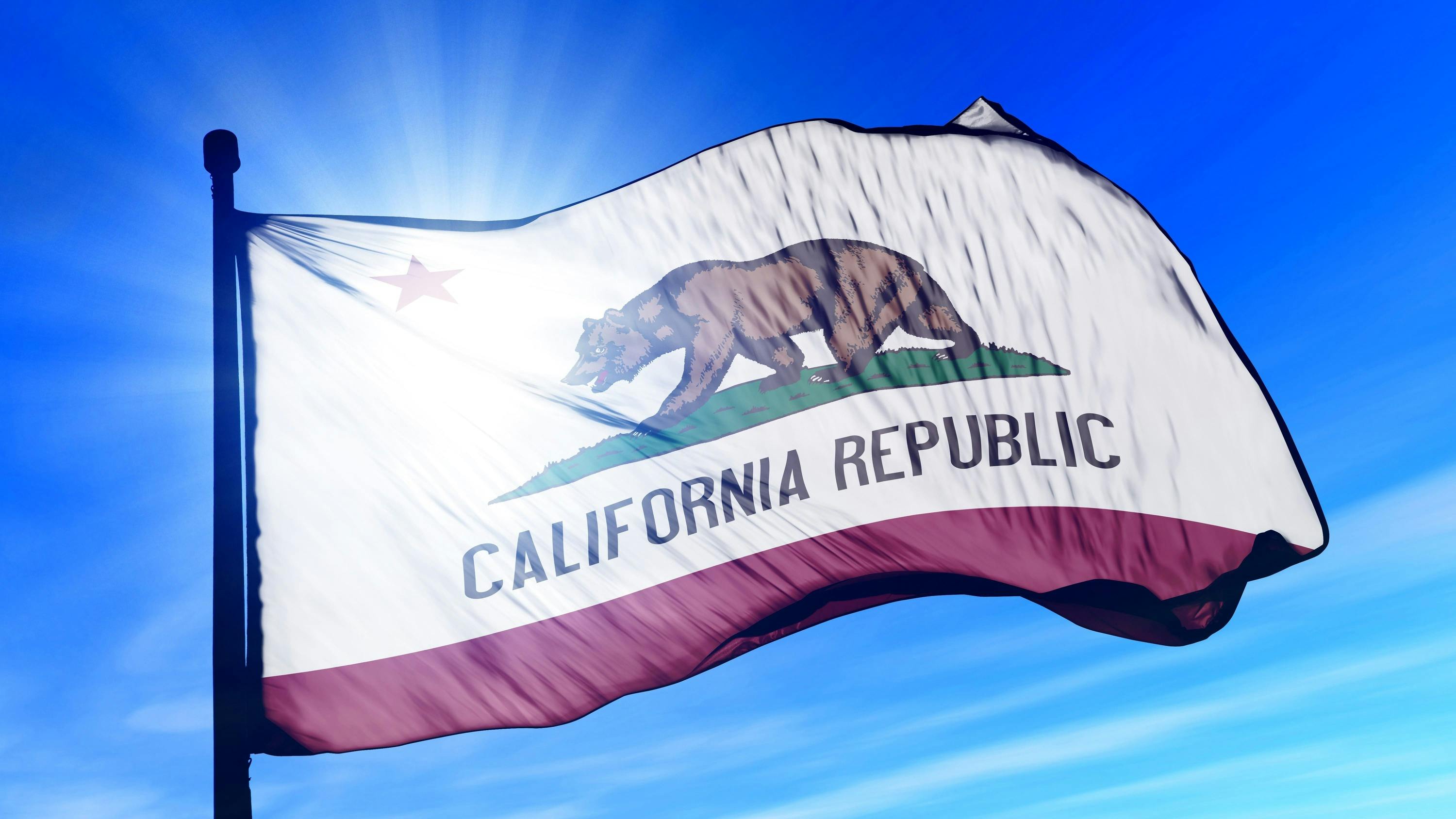 California buy store returns auctions in california storereturns