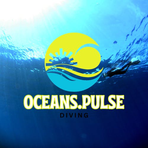 Oceans pulse divers divinglist