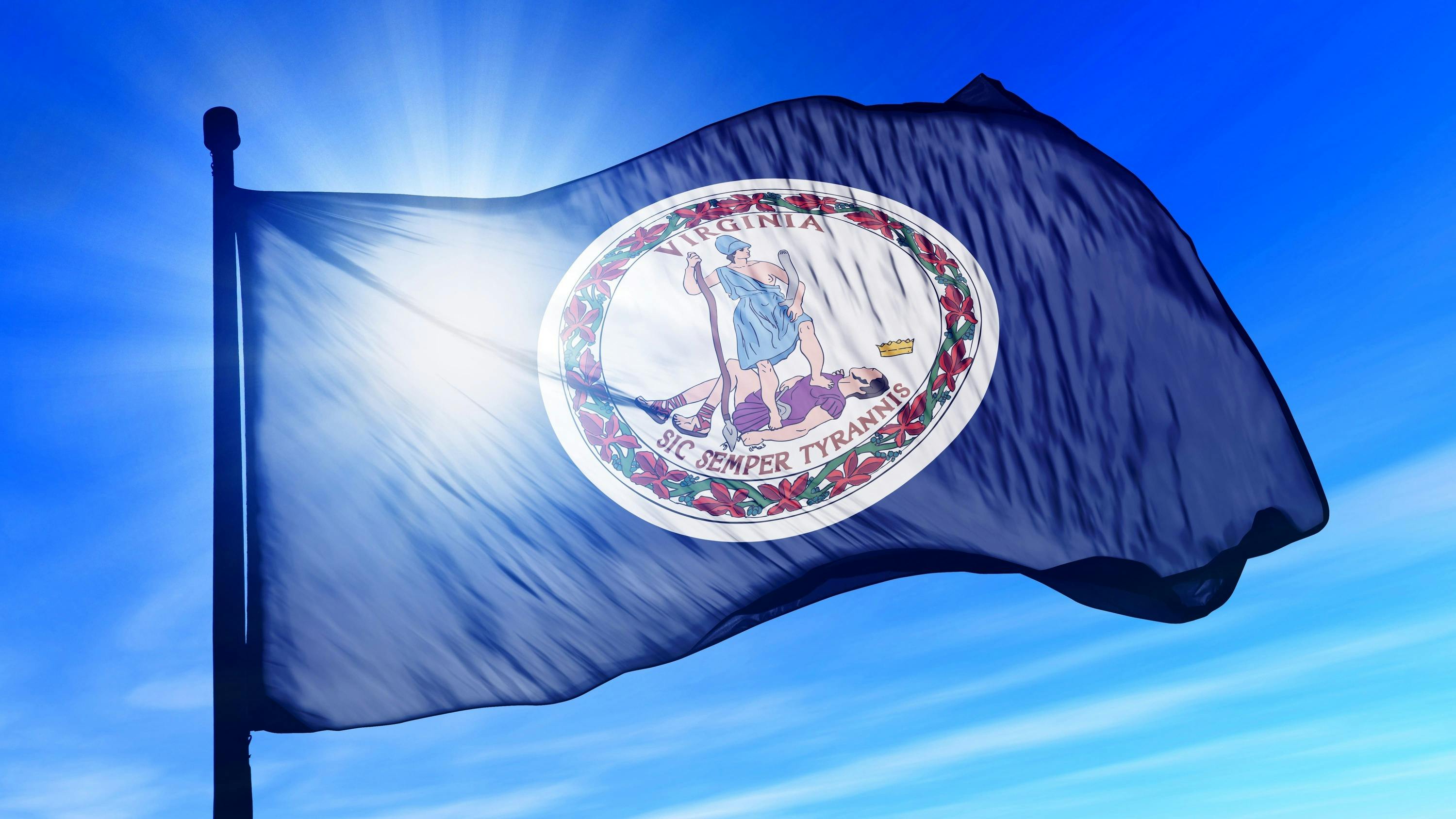 Virginia Local Online Auctions in Virginia Local Auctions