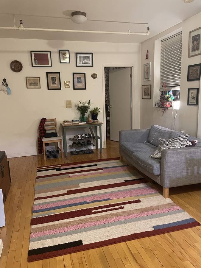 SUMMER 2024 SUBLET IN BROOKLYN Ohana