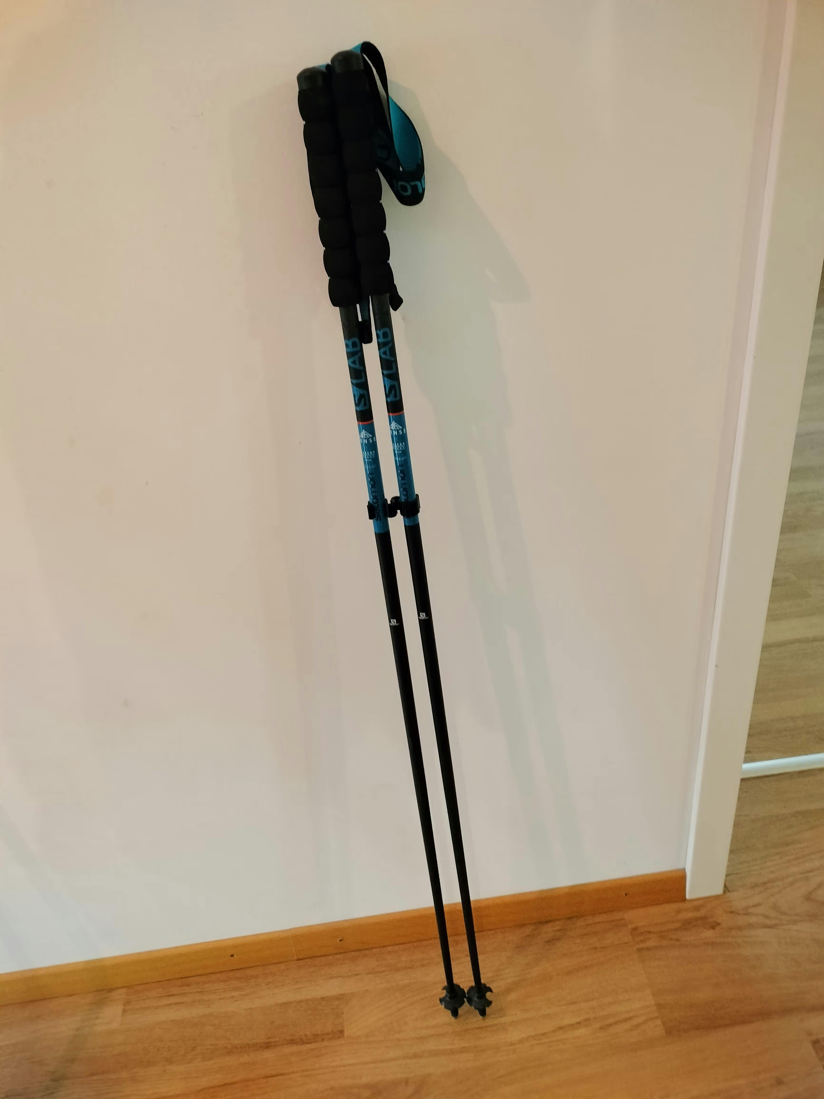 Salomon Trekkingstock kaufen | Transa Secondhand
