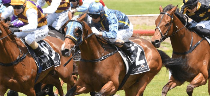 What is SP Profile and how can punters use it? - Champion Bets