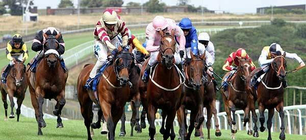 Multiple Backings Backing multiple horses in one race: why? - Champion Bets