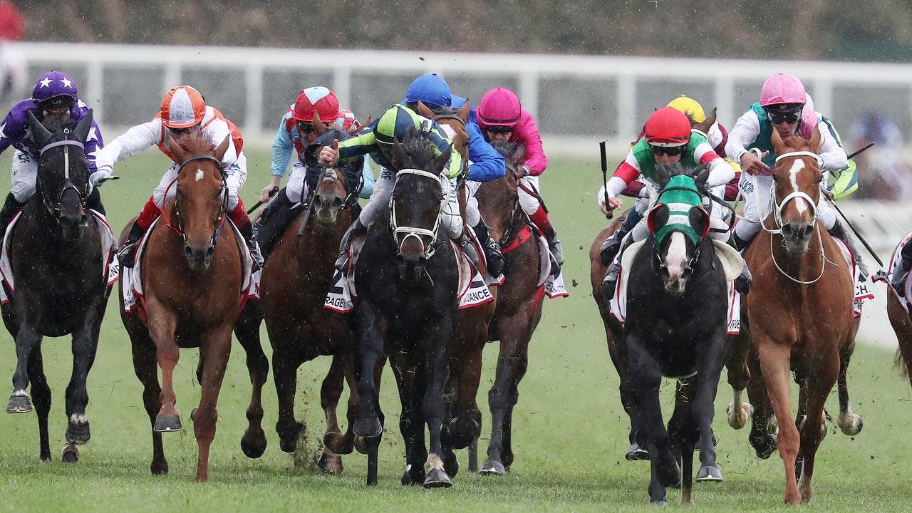 WHAT YOU GET: All the benefits of Champion Bets premium membership ...