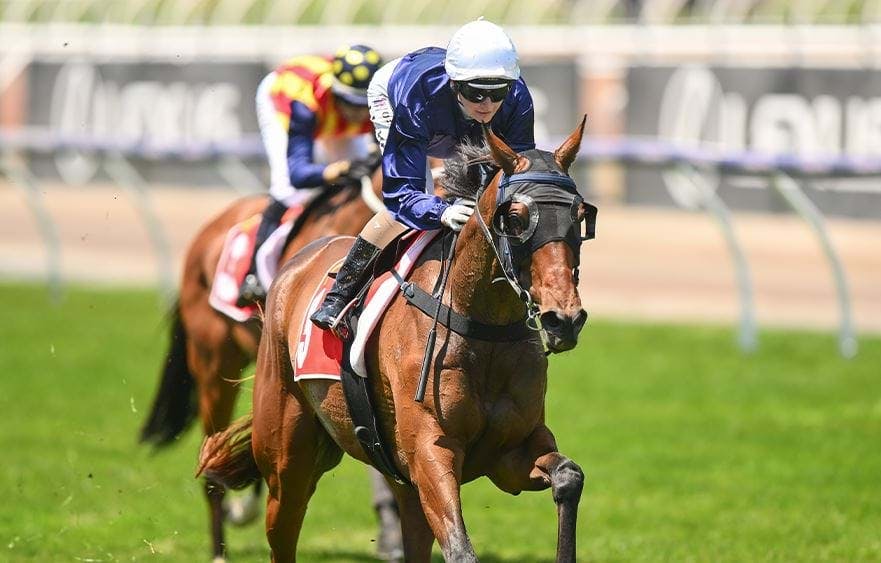 Andrew Ramsden Stakes pro punter preview - Champion Bets