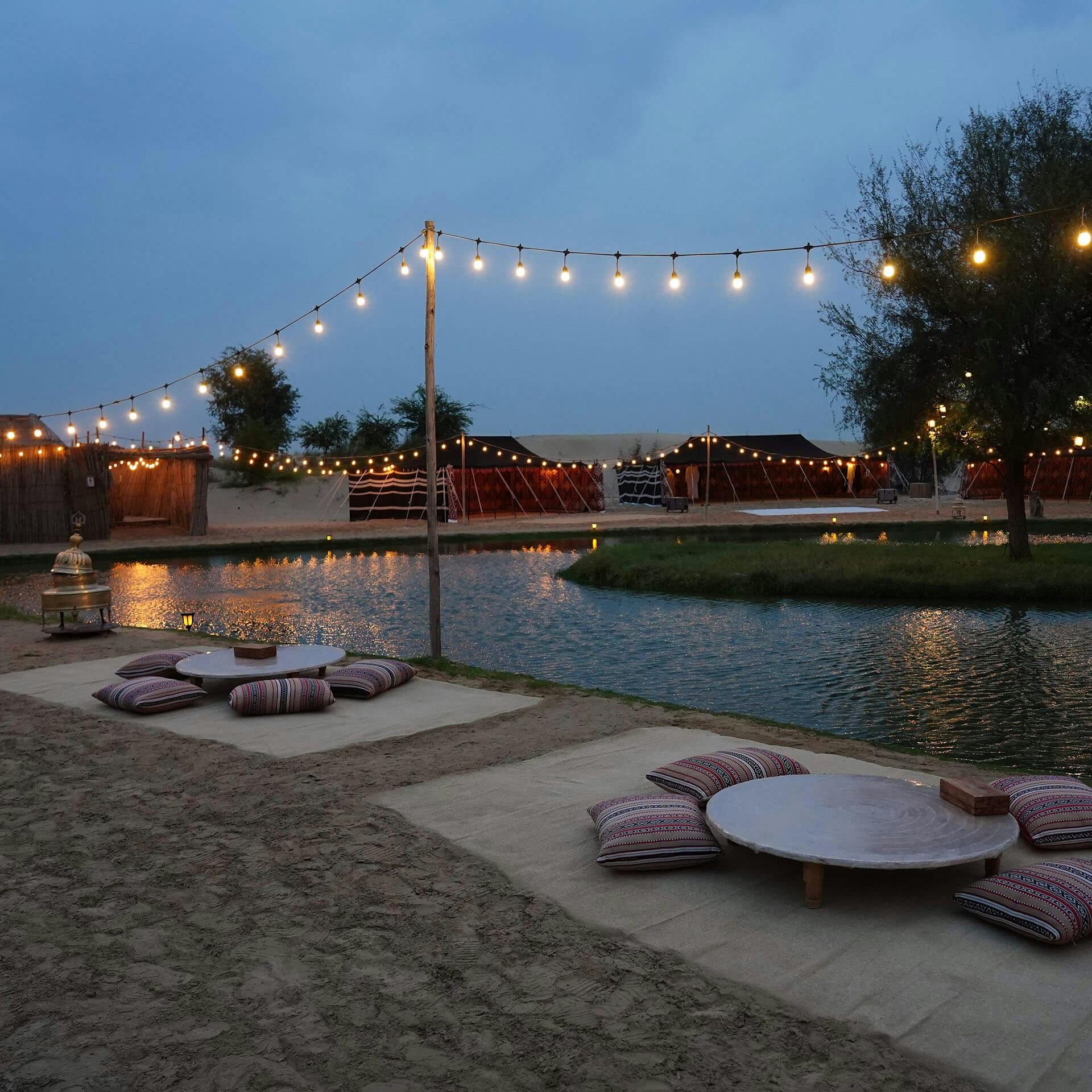 Unforgettable Moments: Your Fig Tree Oasis Canton Experience - 1jatr0m