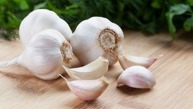 How to plan, start and profit from a Garlic Farm in Africa